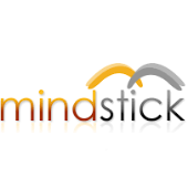 MindStick Software Pvt Ltd 